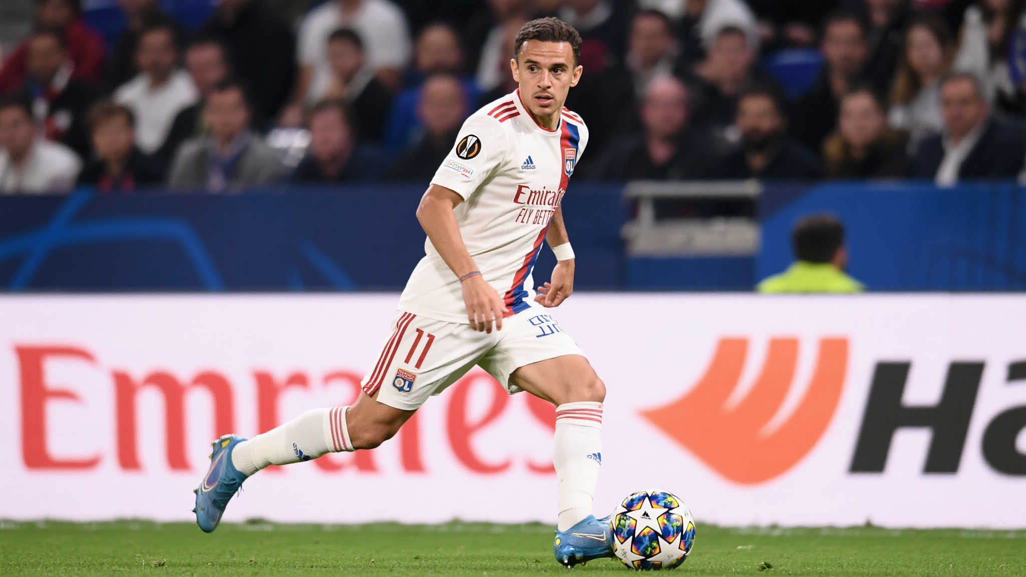 不仅如此，小埃梅里的年龄阶段符合长线投资逻辑，这对